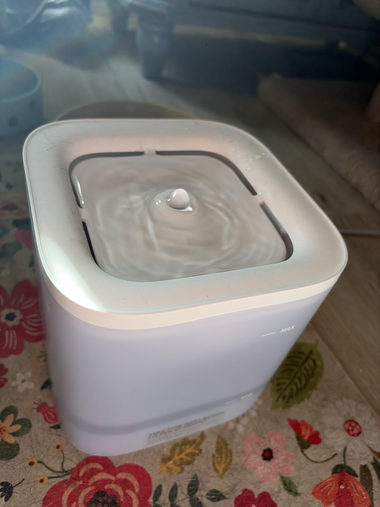 PETKIT Eversweet Solo SE Cat Water Fountain 65oz/1.85L Wireless Pump customer photo 2