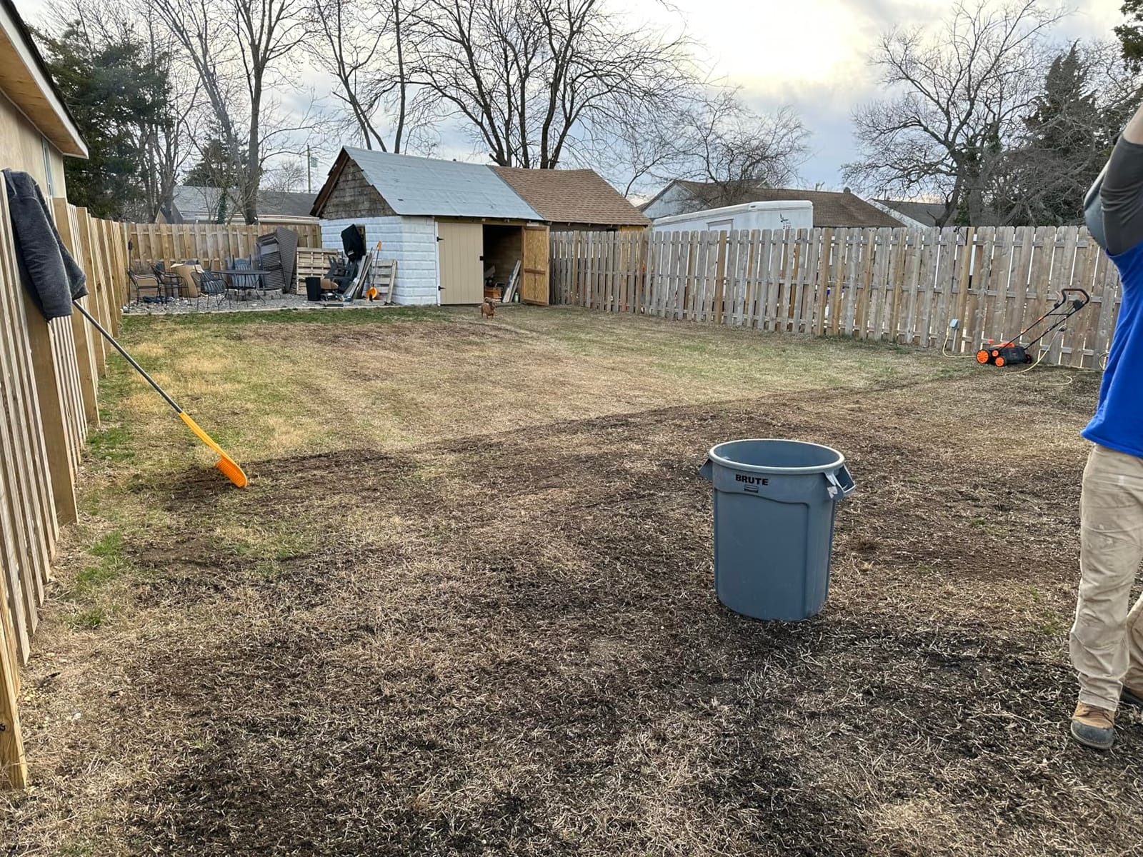 WEN 15-Inch 13-Amp 2-in-1 Electric Dethatcher and Scarifier with 12-Gallon Collection Bag (DT1315) customer photo 2