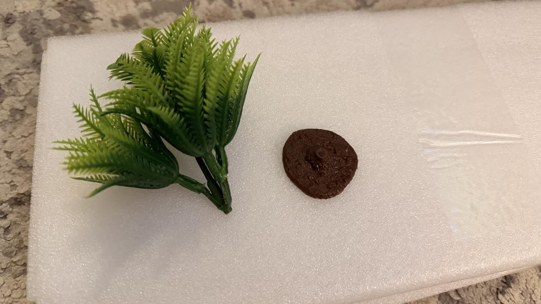 MoonOrange Small Turtle Tank Kit(Tank+Light+Filter), Acrylic Turtle Tank Starter Kit with Bask Platform, Bottom Drain, Multi-Function Area for Small Reptiles.(White) customer photo 1
