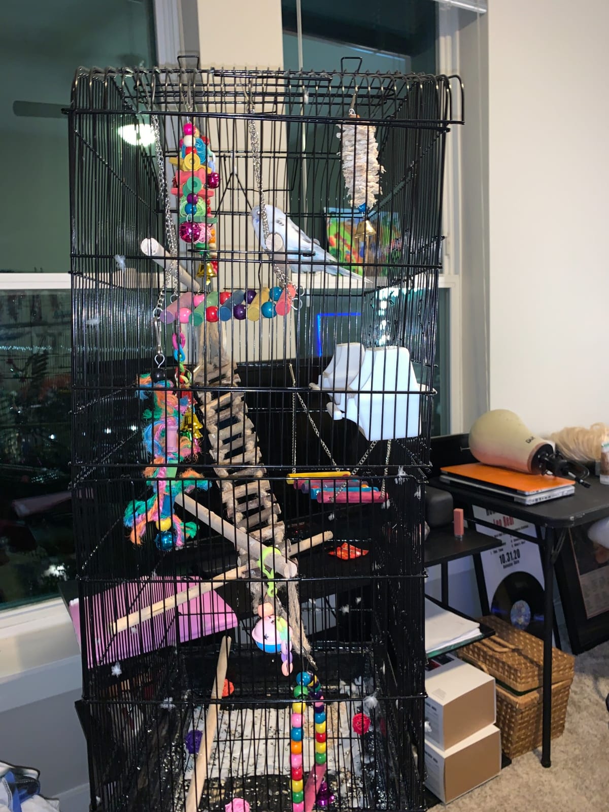 Yaheetech 67.5inch Height Extra Large Bird Cage Cockatiel Cage Metal Parrot Cage w/Slide-Out Tray & Feeders & Detachable Rolling Stand customer photo 1