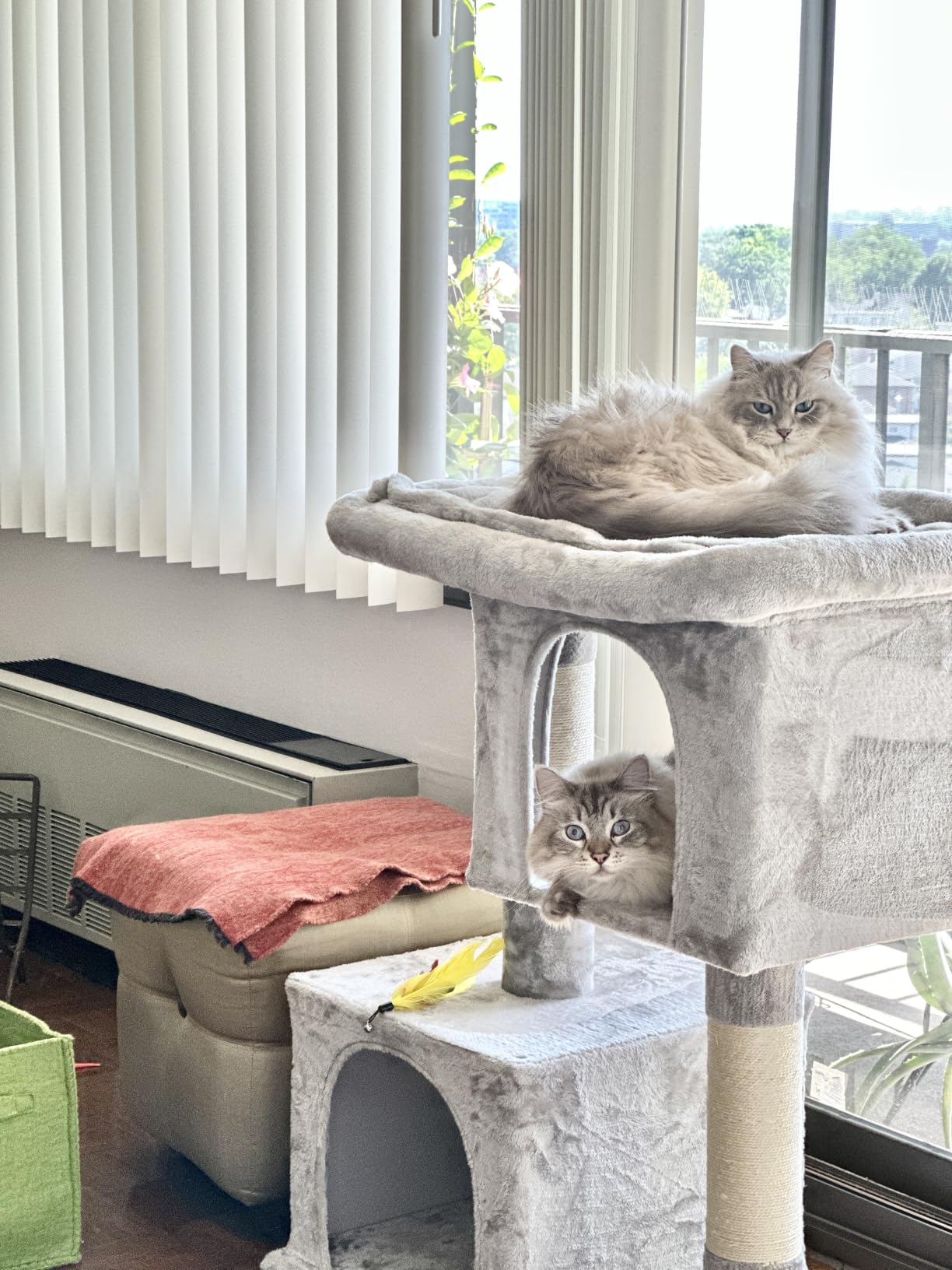 Feandrea Cat Tree, 26.4-Inch Small Cat Tower, Cute Plush Condo, Smoky Gray customer photo 2