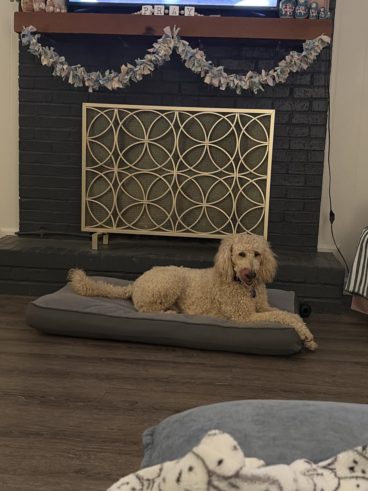 NUPIDA Large Plush Dog Bed for Crate with Washable Cover, 35x22, Grey customer photo 1