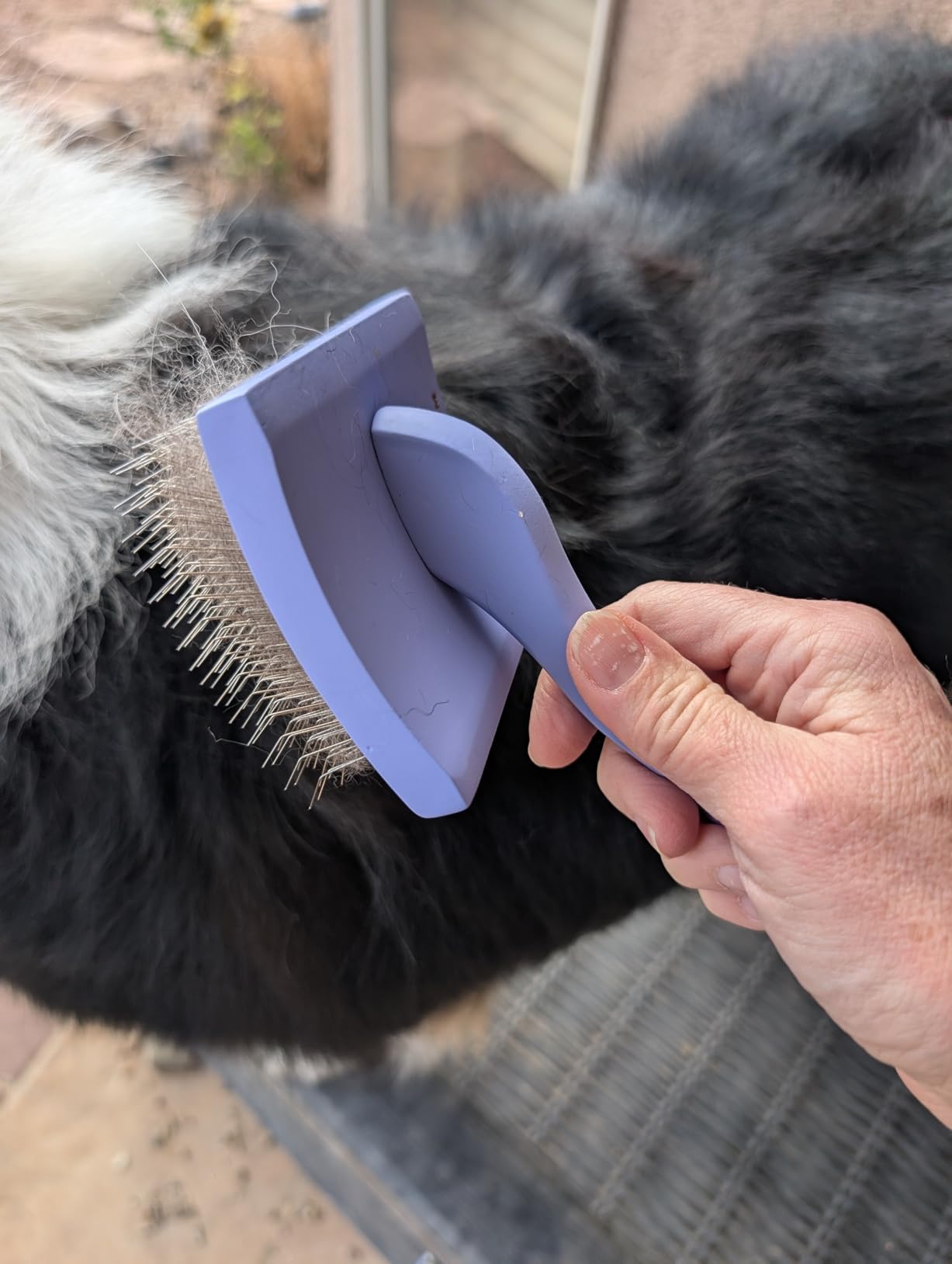 Slicker Ergonomic Wooden-Handle Long-Pin Brush for Poodles, Goldendoodles & Other Long-Haired Dogs (purple) customer photo 1
