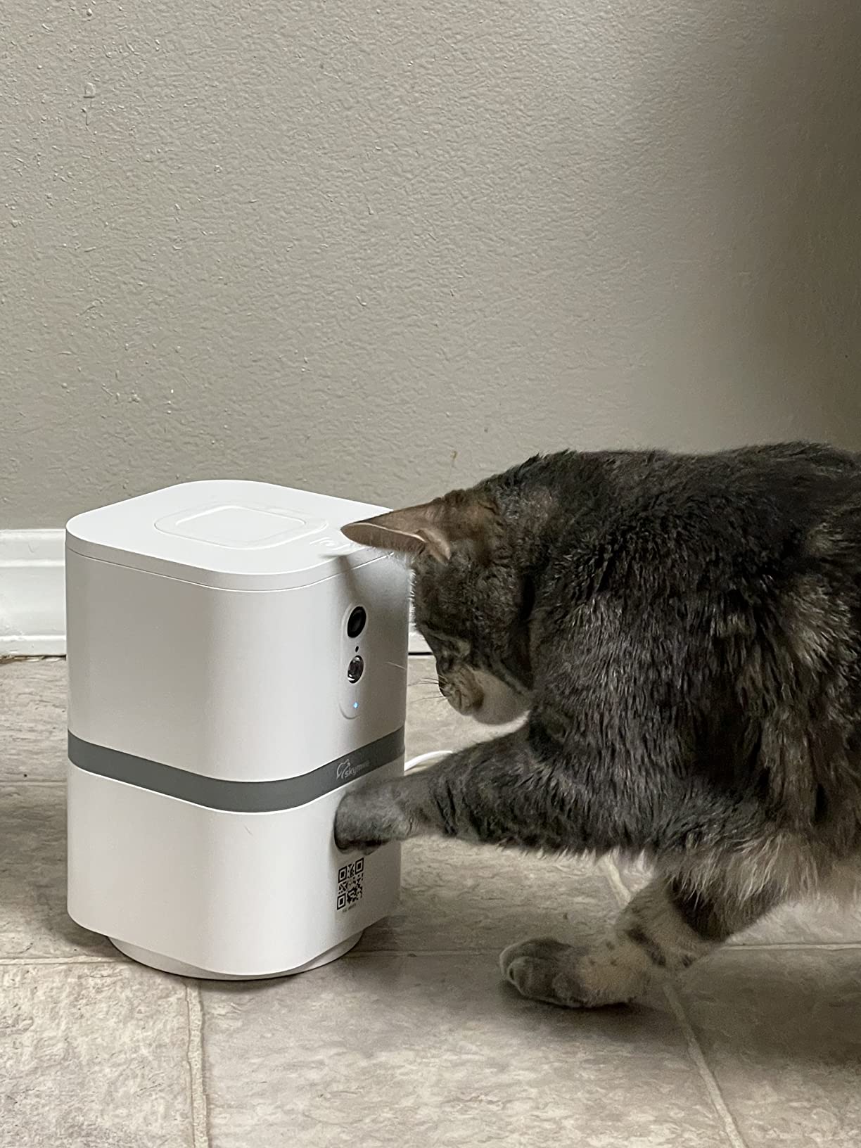Petalk AI II Dog Camera Automatic Treat Dispenser, 5G WiFi Full HD Pet Camera with 180° Pan Full-Room View,Night Vision,Two Way Audio for Dogs and Cats,Compatible with Alexa (Support 5G WiFi) customer photo 1