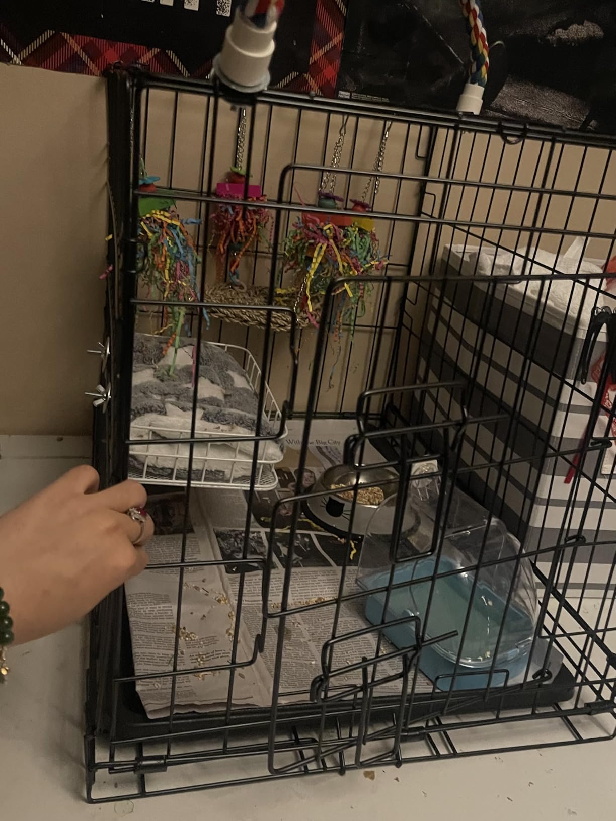 CAPHAUS Foldable Dog Crate Wire Metal Dog Kennel w/Divider Panel, Leak-Proof Pan & Protecting Feet, Single & Double Door, Small, Medium & Large Dog Crate Indoor Wire Dog Cage, 36” w/Double Doors customer photo 1
