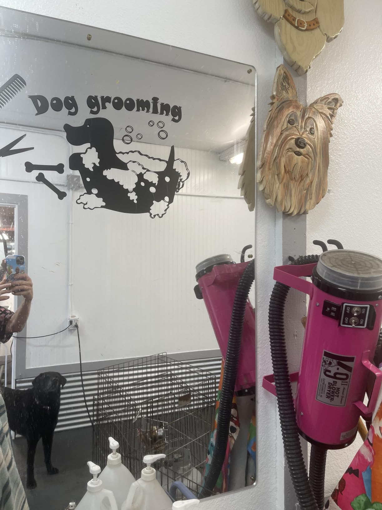 Electric Cleaner Company K9 II Dog Blow Dryer - High Power Grooming Dryer, Heavy Duty, 10' Hose, Deshedding, Metallic Purple customer photo 2
