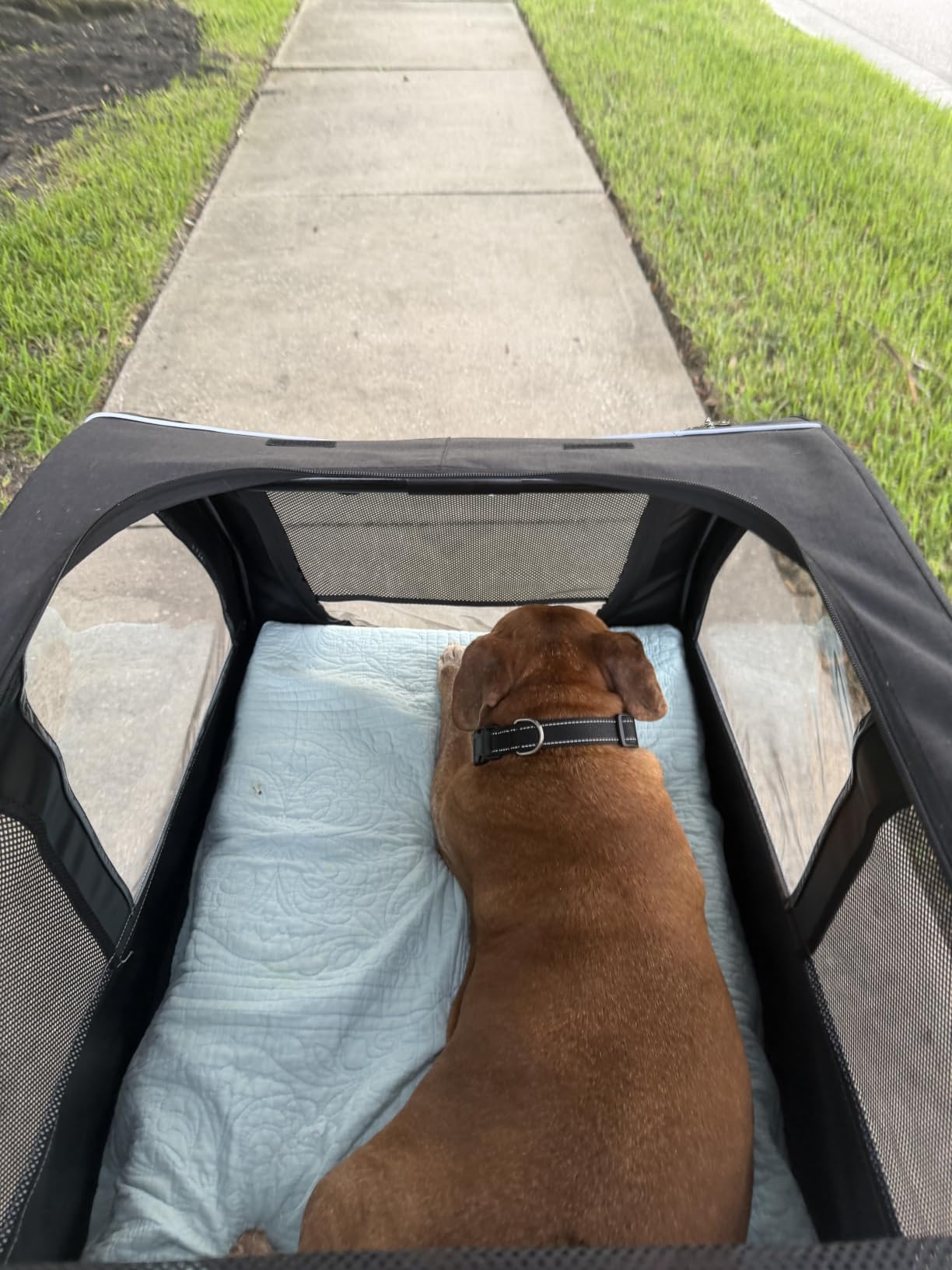 Saudism Dog Stroller for Large & Medium Dogs, Extra Large Pet Stroller, Dog Wagon for 2 Dogs, Foldable Design, Adjustable Handle, with Pocket, Up to 130 lbs customer photo 1