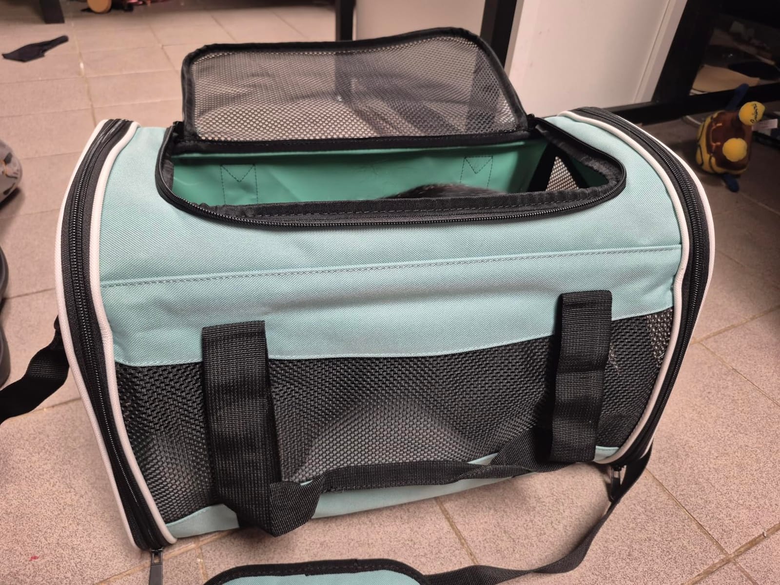 Cat Dog Carriers Soft-Sided Pet Carrier Large Cats for Medium Big Cat Small Dog Puppy up to 16lbs TSA Airline Approved Animal Collapsible Cat Carrier Carriers Travel Carrier Cat Bag (17x11x11) customer photo 2
