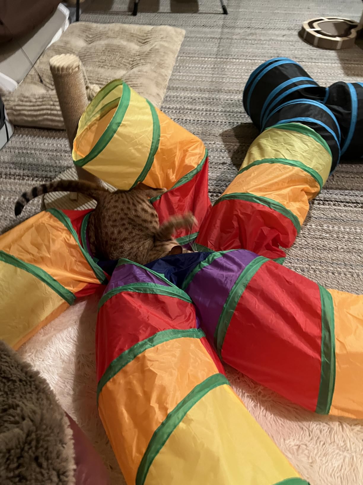 Depets Cat Tunnel for Indoor Cats, Large Collapsible Cat Tube Toys, 5-Way customer photo 1