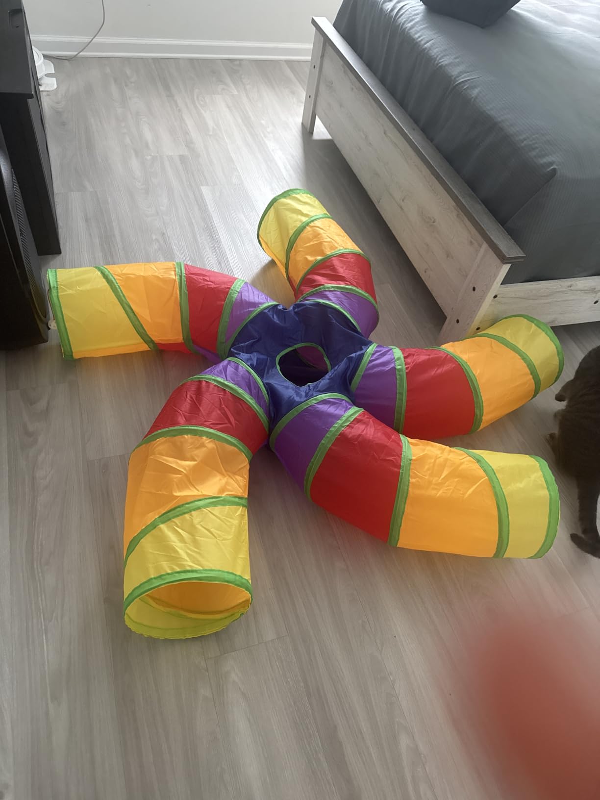 Depets Cat Tunnel for Indoor Cats, Large Collapsible Cat Tube Toys, 5-Way customer photo 2