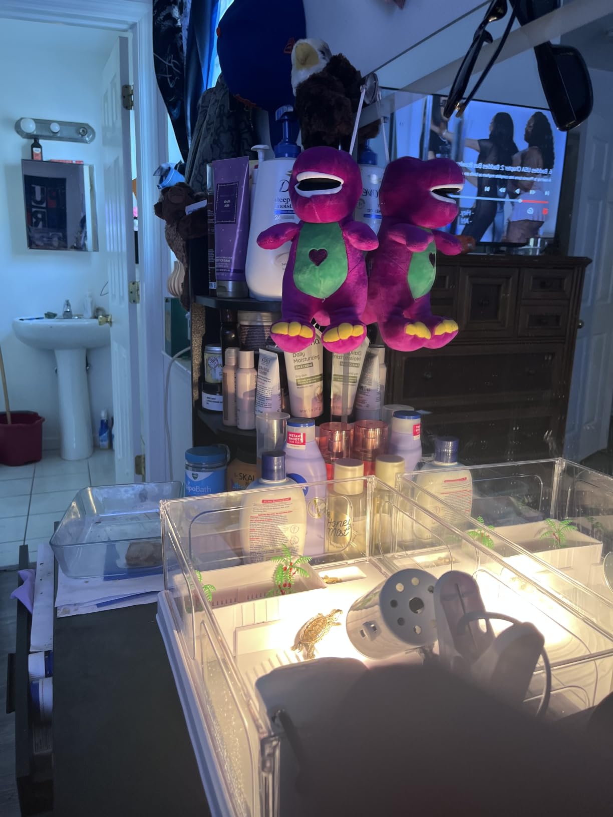 Small Turtle Tank Kit with Light and Filter for Baby Turtles customer photo 1