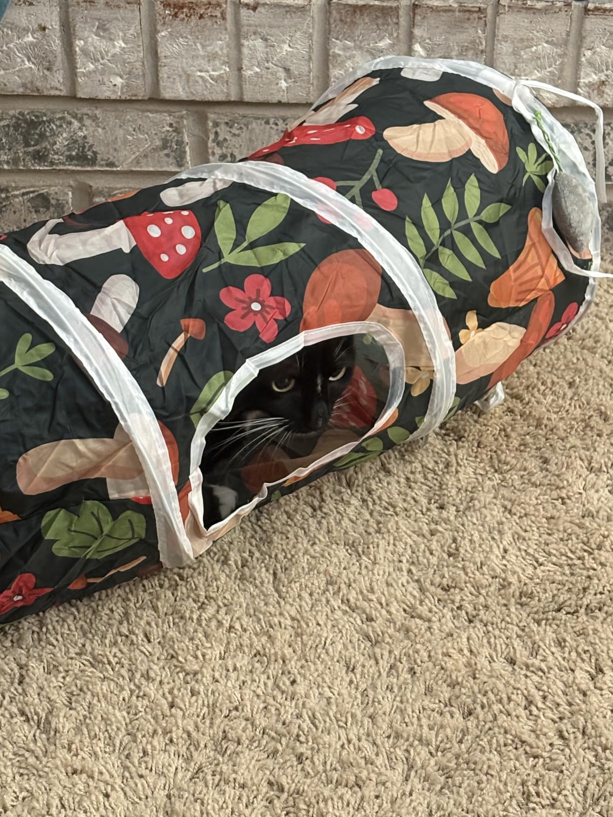 Glittme Cat Tunnel, Cat Tunnels for Indoor Cats, S-Shape Cats Cave with Cat Toys, Foldable Cat Tubes and Tunnels for Cats, Rabbit, Puppy, Guinea Pig customer photo 1