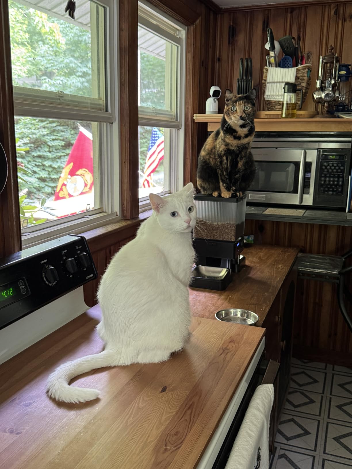 oneisall 5G WiFi Automatic Cat Feeder for 2 Cats, App Control, 20 Cups/5L customer photo 1