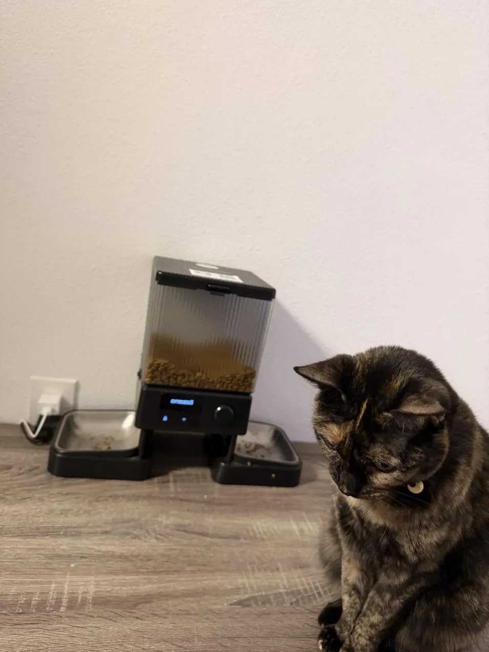 oneisall 5G WiFi Automatic Cat Feeder for 2 Cats, App Control, 20 Cups/5L customer photo 2