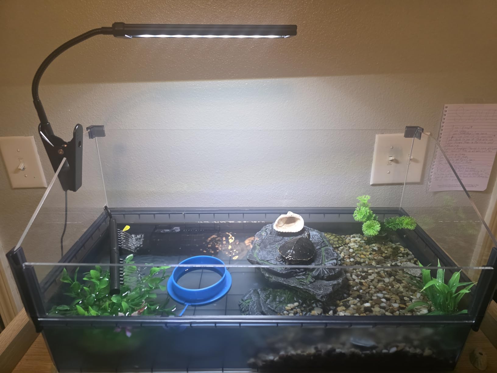 Large Turtle Tank Kit for Aquatic Turtles – Complete Starter Habitat with Filter, UVB Lamp, Basking Platform, Plants, Feeding Ring – Turtle Aquarium Kit (Black) customer photo 1