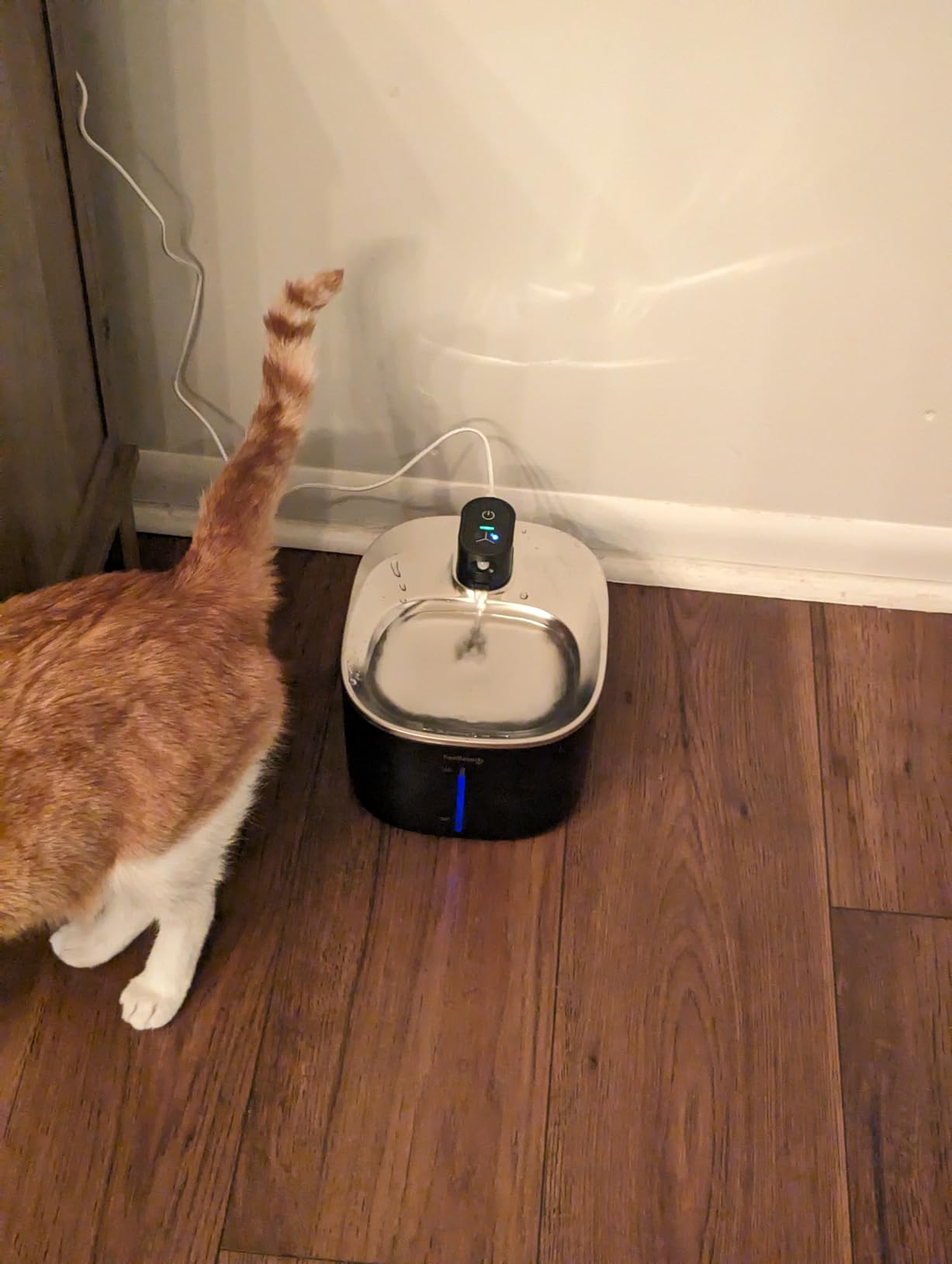 FEELNEEDY Wireless Cat Water Fountain Battery Operated, 4L/135 fl oz Pet Water Fountain for Cats and Dogs with Motion Sensor, Ultra Quiet Cat Drinking Fountain with 2 Filters (Black YPD-C004P) customer photo 2