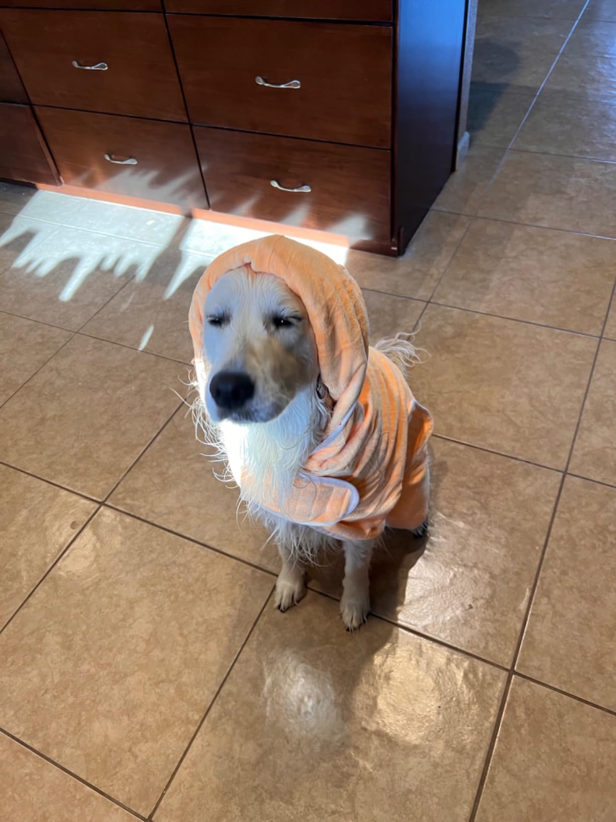 Avont Dog Bathrobe – Super Absorbent Quick-Dry Microfiber Hooded Robe customer photo 2