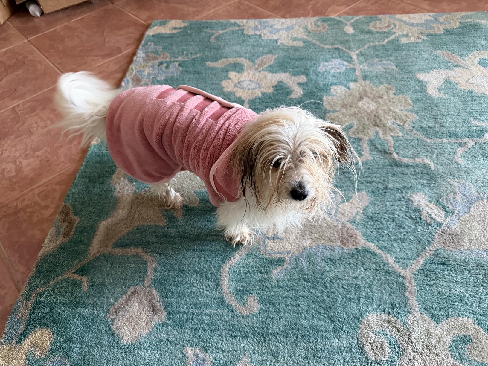 Lucky Pooch® Dog Robe - Luxurious Dog Bathrobe - Ultra Absorbent Dries Your Dogs in Minutes! Double-Layer, Super Soft Towel and Bath Robe All in One (XXL, Teal) customer photo 1