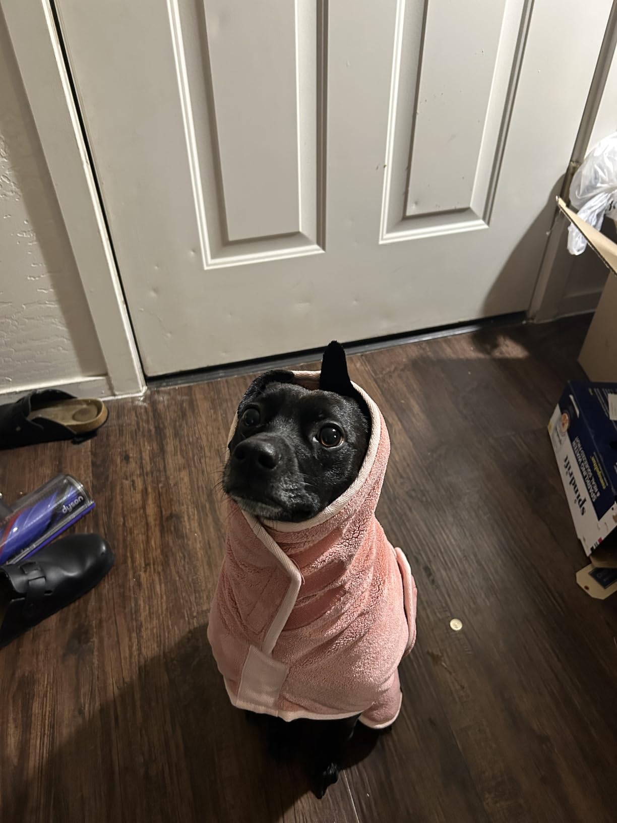 Lucky Pooch® Dog Robe - Luxurious Dog Bathrobe - Ultra Absorbent Dries Your Dogs in Minutes! Double-Layer, Super Soft Towel and Bath Robe All in One (XXL, Teal) customer photo 2