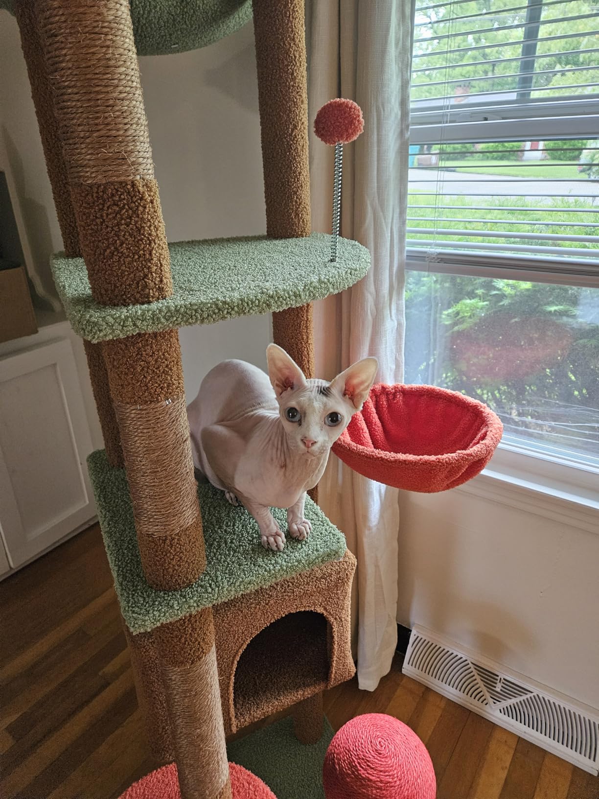 PEQULTI Floor to Ceiling Cat Tree Tower, Height Adjustable 230-252cm, Green customer photo 1
