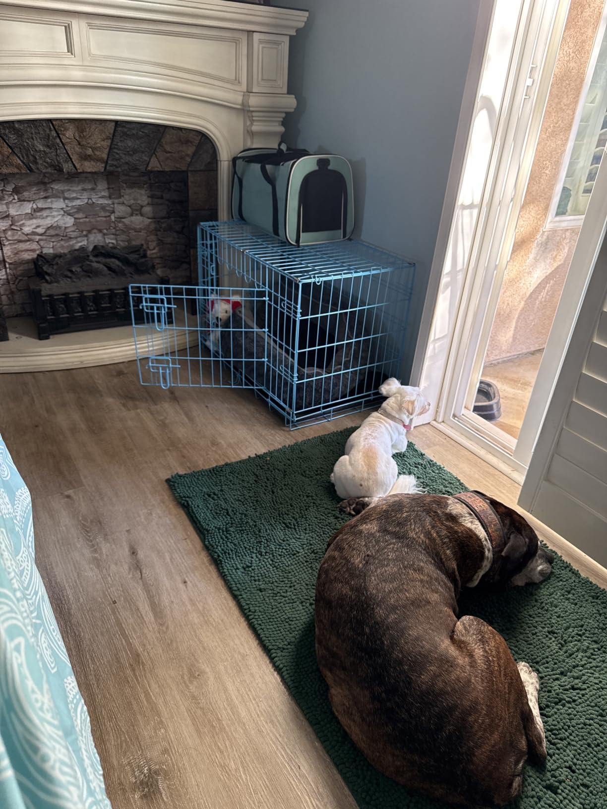 42 Inch Extra Large Dog Crate, Heavy Duty Dog Crates for Large Dogs, Metal Wire Folding Dog Cage with Removable Trays, Locks, Double-Door, Divider Panel, Handle, XL Dog Crate Pet Crate (42 in, Blue) customer photo 1