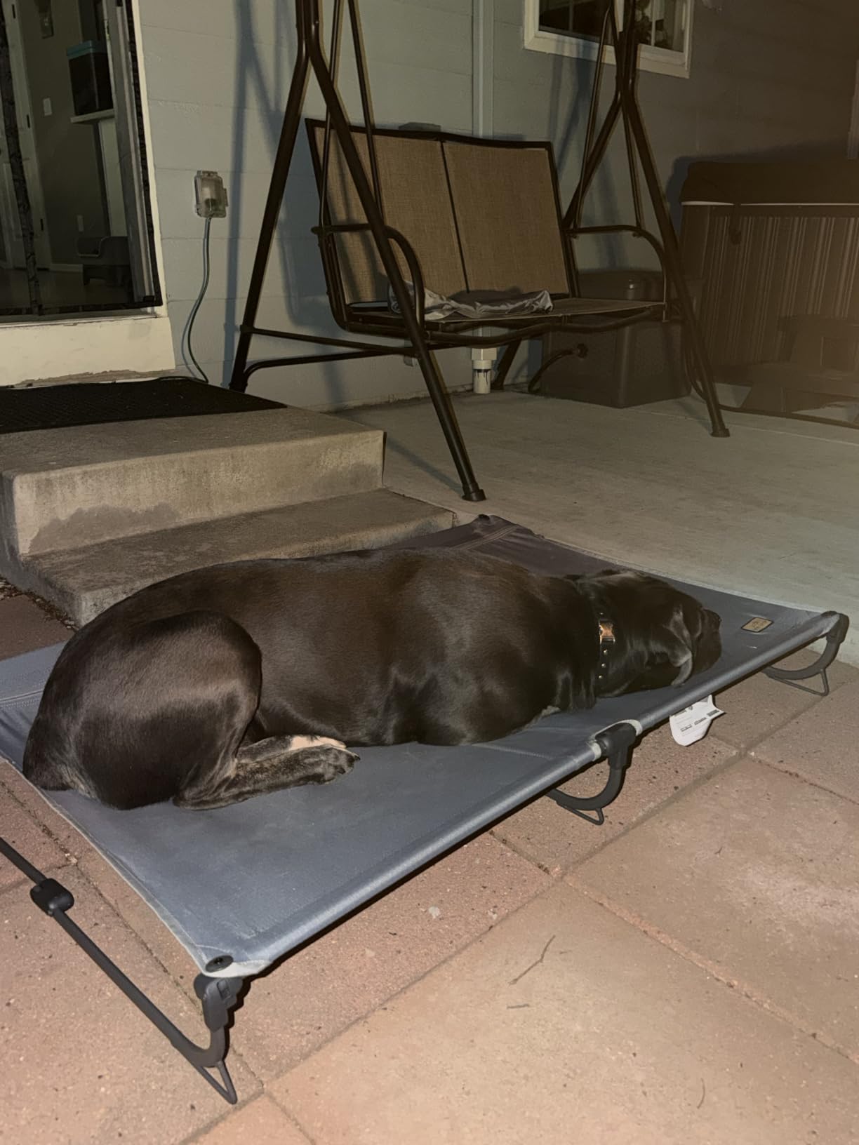CANINE CANYON Folding Raised Dog Cot, Large Outdoor Elevated Dog Bed with Upgraded Non-Slip Feet, Cooling Chew Proof Portable Heavy Duty Pet Cot Up to 160 lbs for Camping/Home, Dark Blue, 43