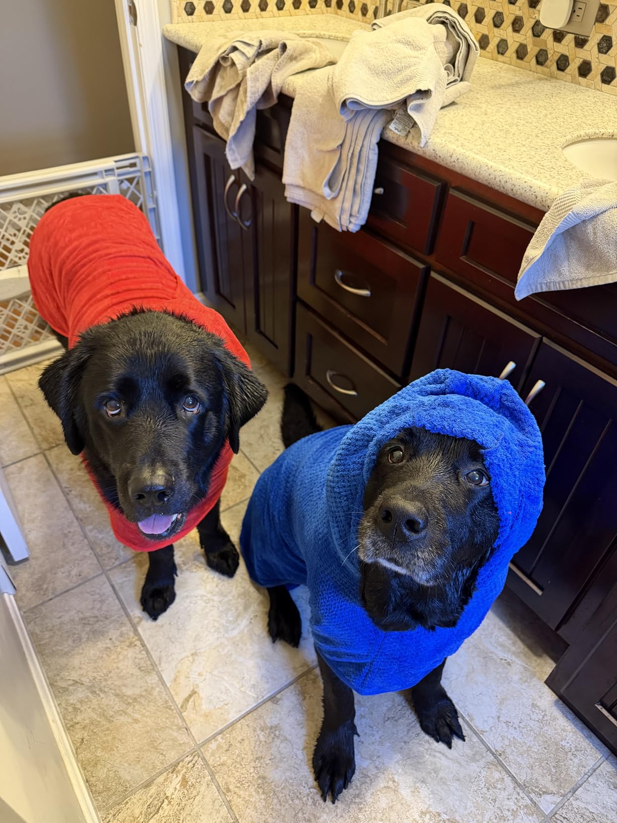 Geyecete Dog Drying Coat with Hood for After Bath Bathrobe Towel Dog Drying Coat for Wet Walking in Rain/Snow-Dry Fast Dog Bag-Pineapple Grid Fast Drying-Red-M customer photo 1