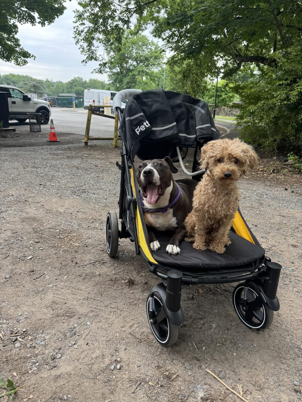 Petbobi Dog Stroller for Large Medium Dogs up to 80 lbs, Dual Entry customer photo 2