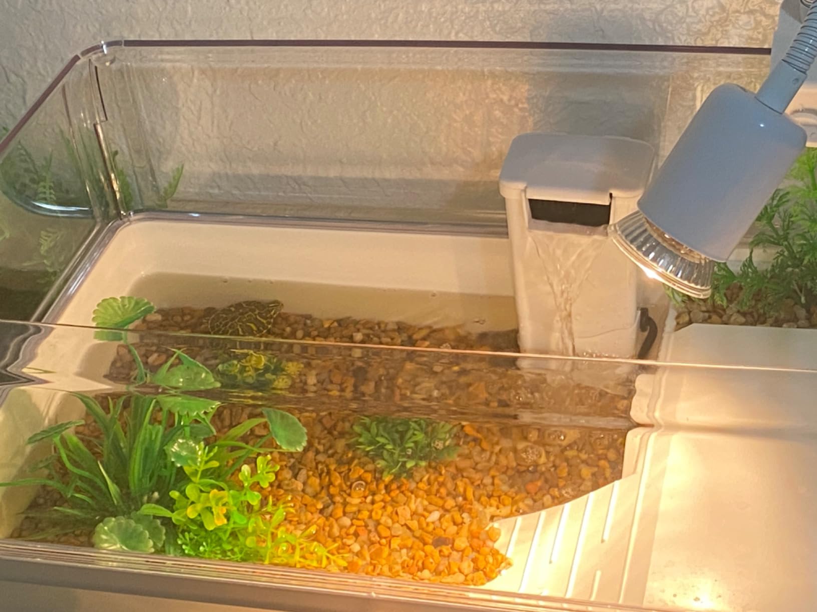 AZV Turtle Tank Starter Habitat Kit,Complete Aquatic Terrarium Enclosure customer photo 1