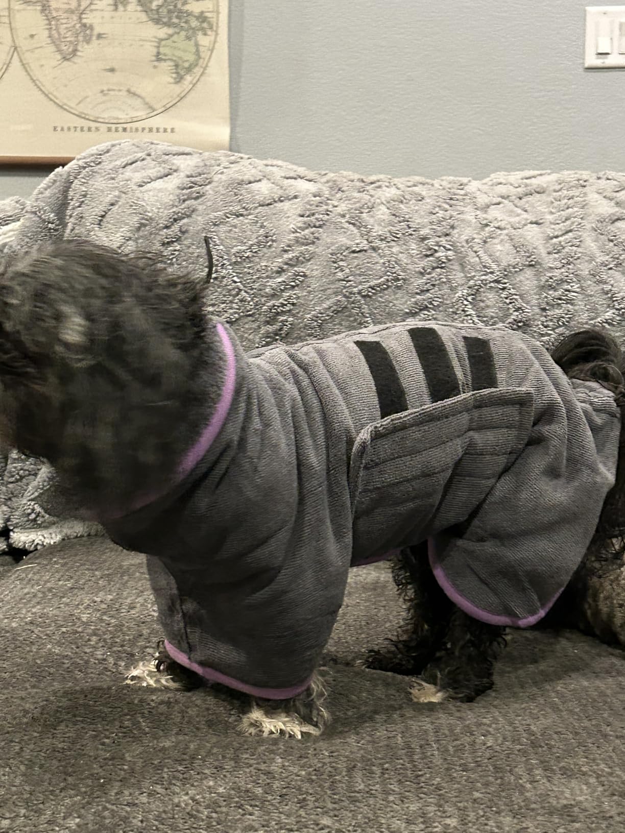 Microfiber Dog Bathrobe, Super Absorbent Dog Drying Coat customer photo 1
