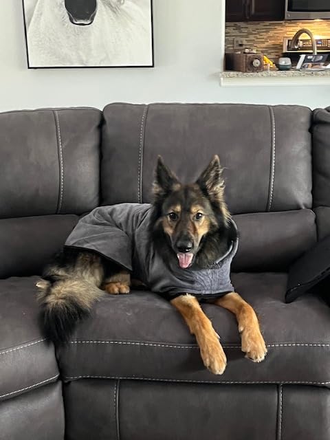 Microfiber Dog Bathrobe, Super Absorbent Dog Drying Coat customer photo 2