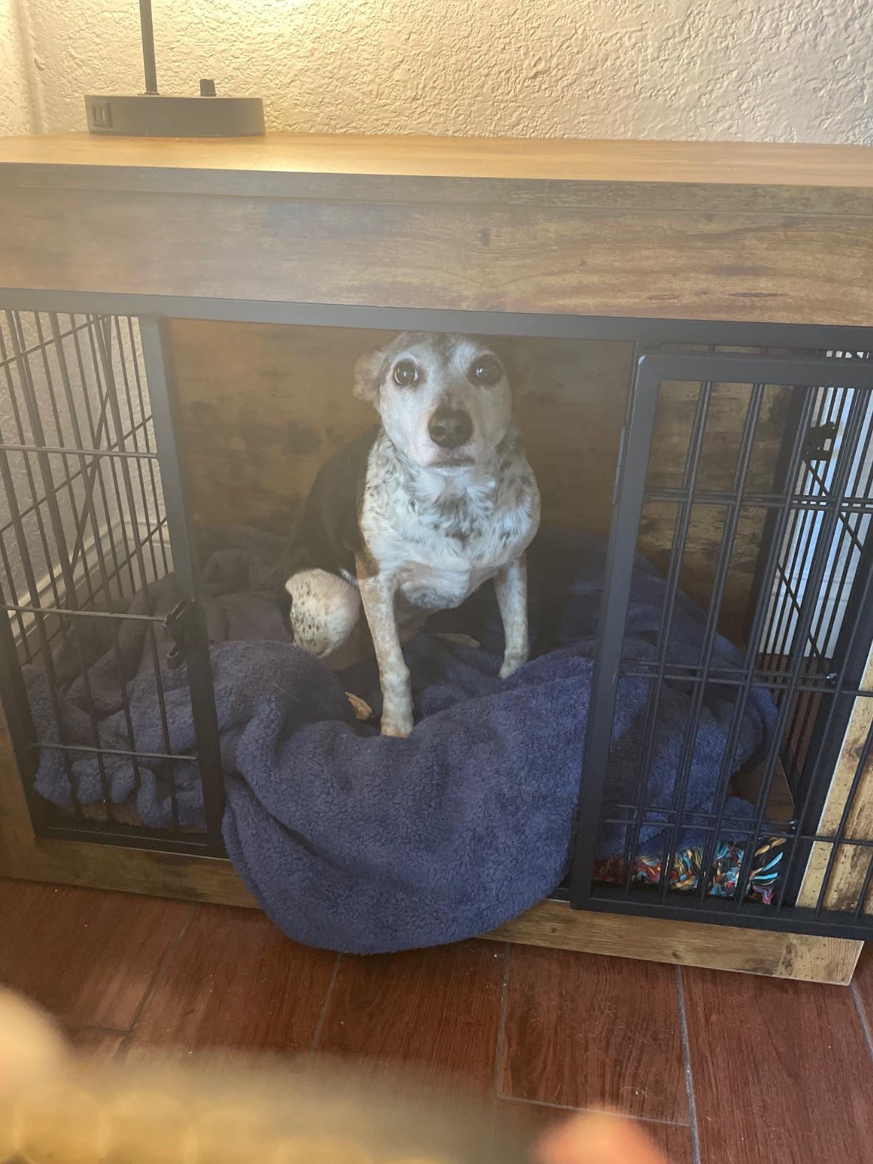 Wooden Dog Crate Furniture with Thick Cushion, Indoor Side Table Dog Kennel customer photo 1