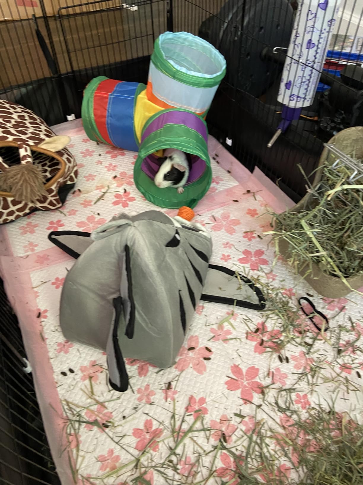 Tresbro Guinea Pig Cage with Waterproof PVC Bottom Liner & One-Hand Release Hook, Triple Fixing C&C Cage for Guinea Pigs, Bunny, Rabbit, Hedgehog, Small Animal Indoor Playpen 48''L x 24''W x 16''H customer photo 1
