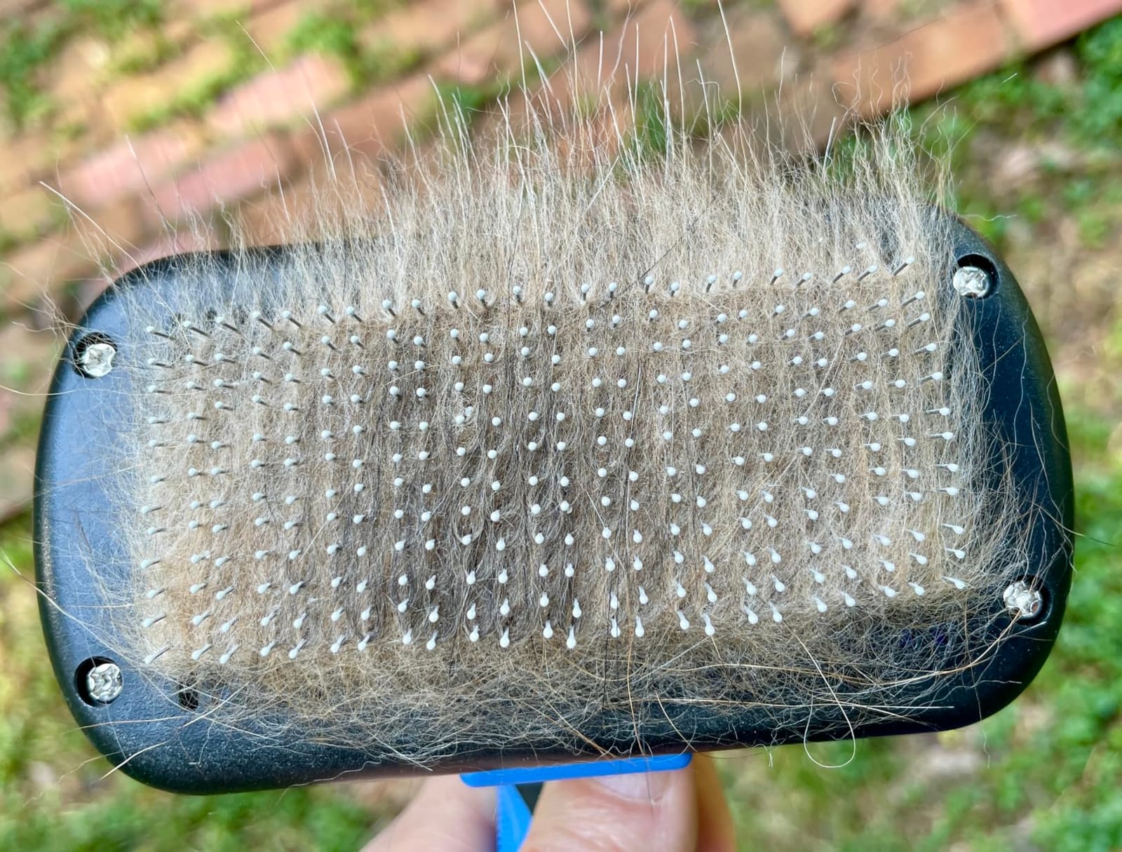 Swihauk Self Cleaning Slicker Brush - Skin Friendly Deshedding Grooming Tool for Dogs & Cats, Suitable for Shedding & Haired Pets, with Pet Supplies Accessories, Blue customer photo 2