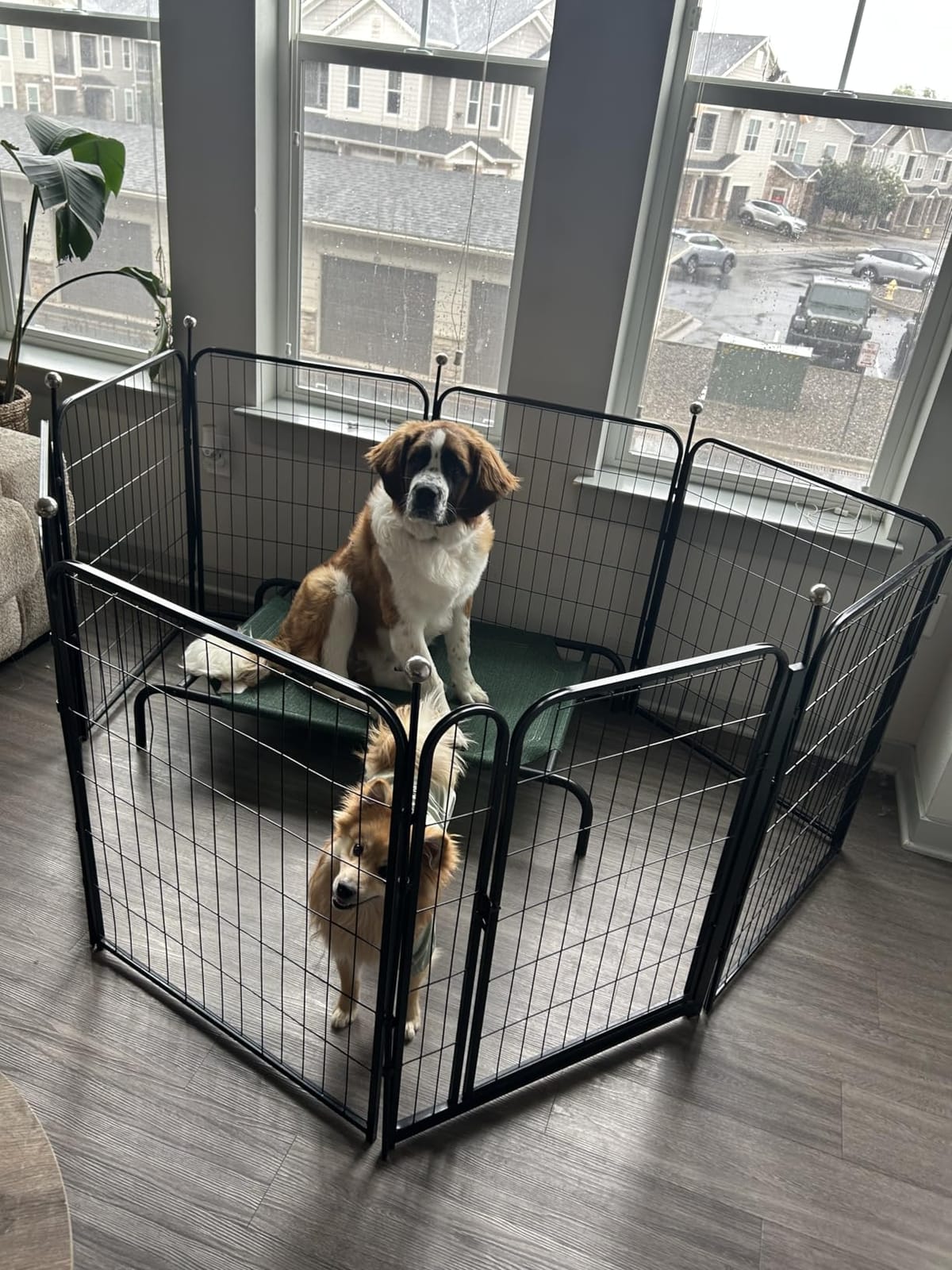 Dog Playpen Outdoor for Medium/Large Dogs 36'' High, Heavy Duty Dog Playpen with Rustproof and Sturdy Stakes, 3ft Dog Fence for RV Camping(12 Panels) customer photo 2