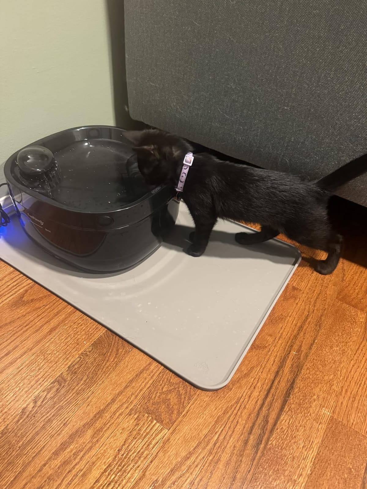 7L/1.8Gal Dog Water Fountain for Large Dog, FEELNEEDY Dog Water Bowl Dispenser Pet Water Fountain, Water Dispenser for Dogs with Ultra Quiet Pump for Multiple Pets with 3 Filters (FN-W05, Clear Blue) customer photo 2