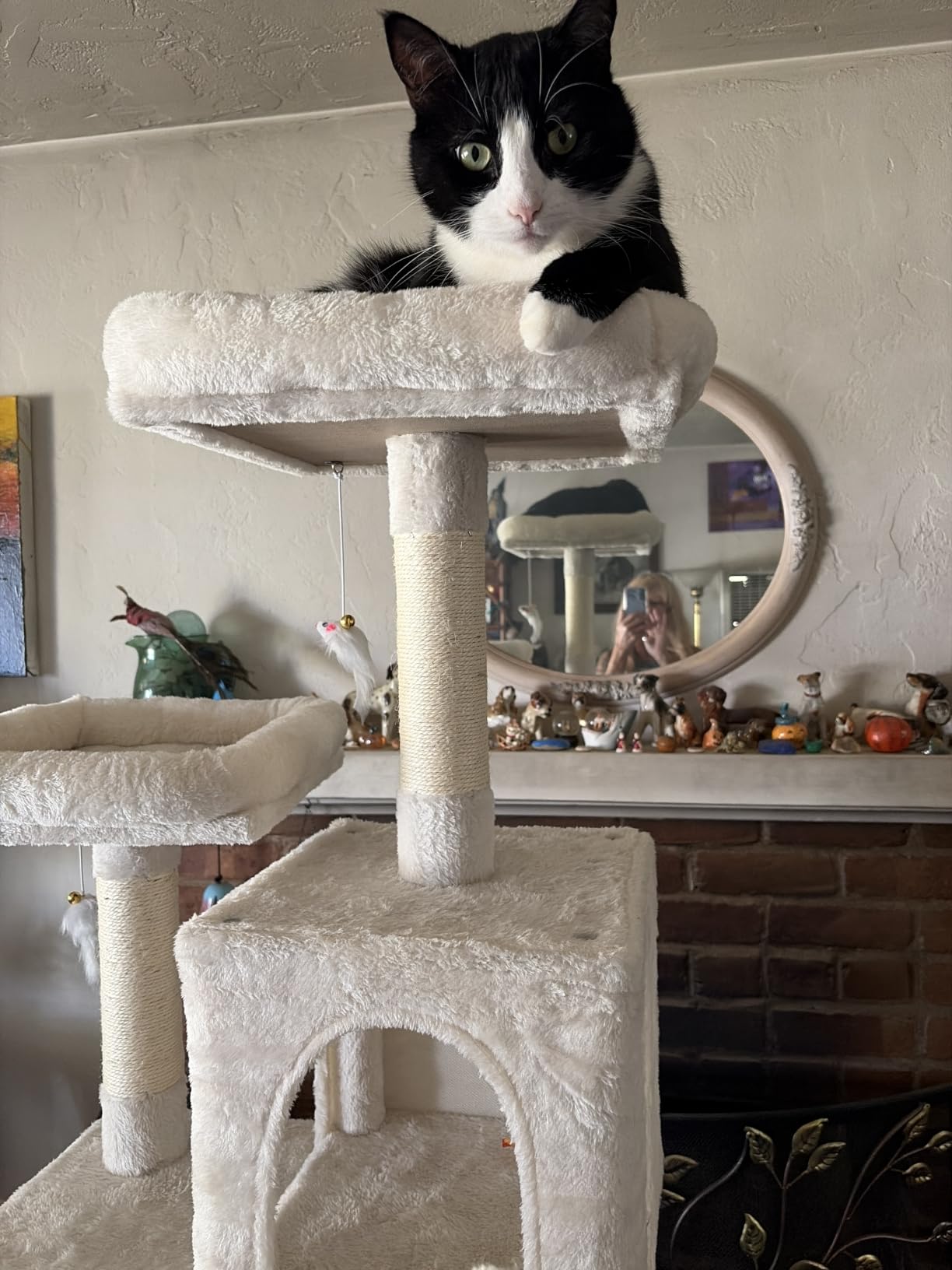 MWPO 63.8 Inches Green Cat Tree for Indoor Cats, Multi-Level Cat Tower with Sisal-Covered Scratching Posts, Padded Platform, Hammock, Dangling Toys, Stable Cat Condo Pet Play House customer photo 2