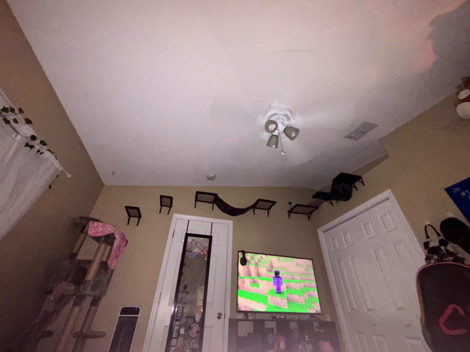 Cat Wall Shelves, Space-Saving Wood Cat Wall Furniture for Indoor Cats customer photo 2