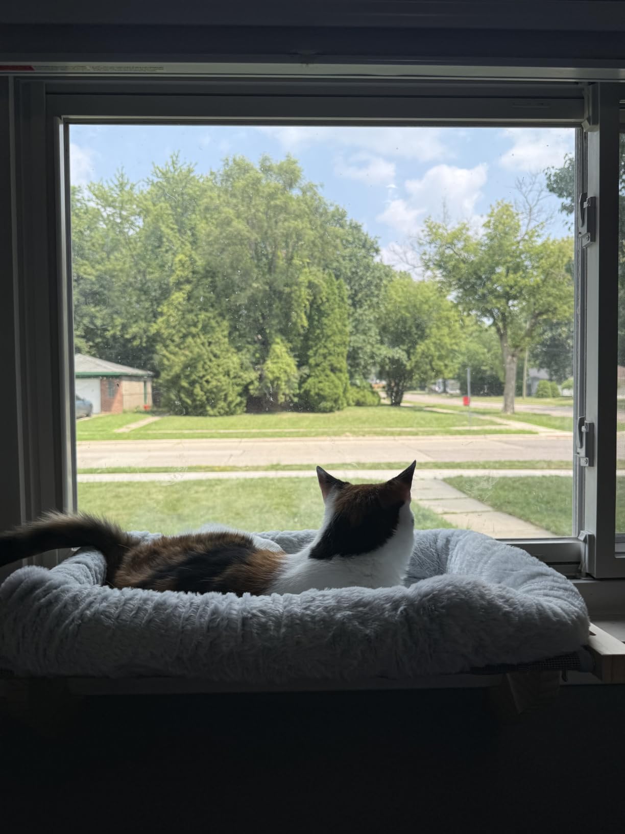 AMOSIJOY Wooden Cat Windowsill Perch with Zipper Cushion Bed, 21.7in customer photo 1