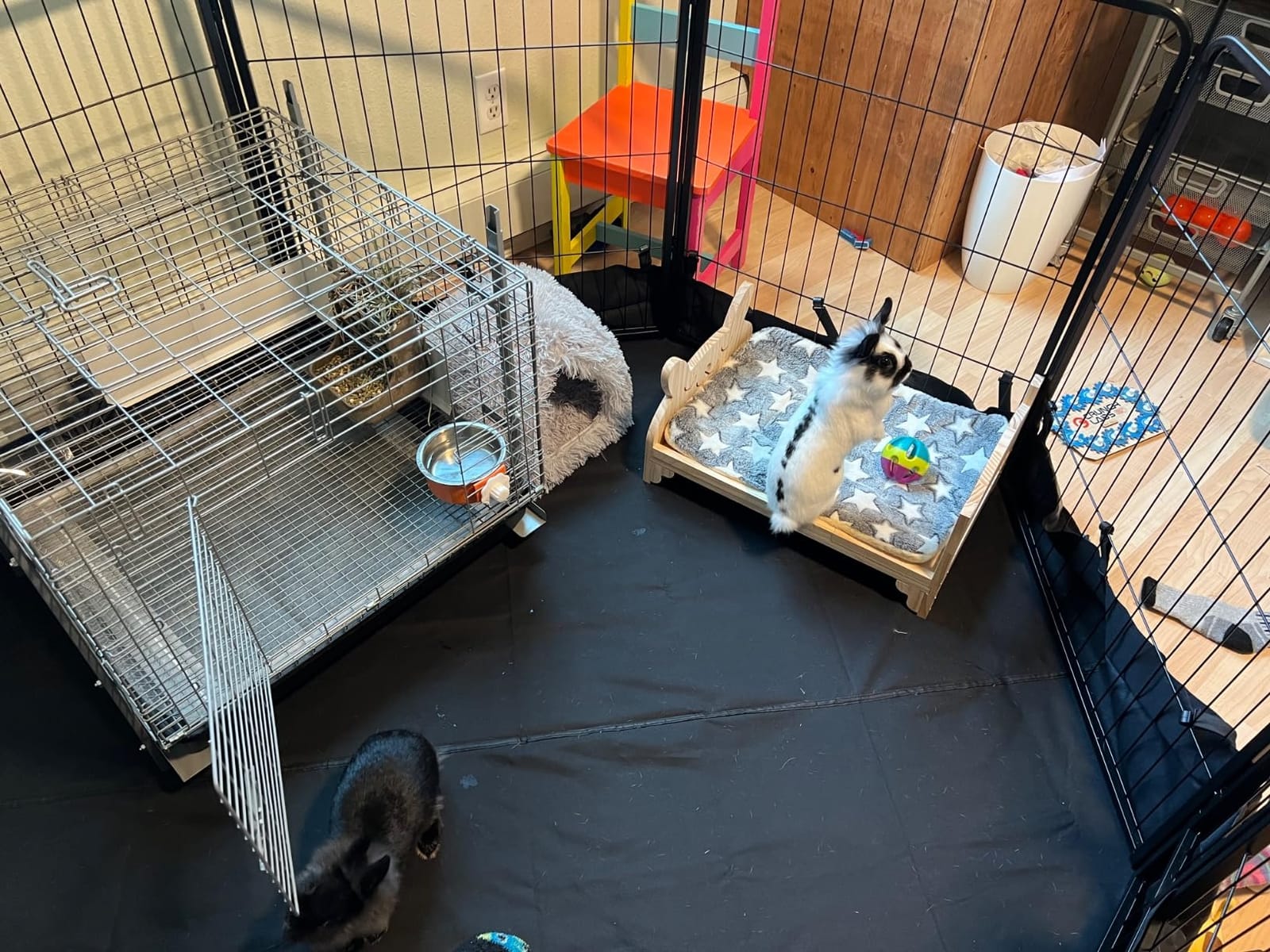 HOMESTEAD Rabbit Cage with Pull-Out Tray – 24 Inch Bunny Cage, Metal Rabbit Breeding Cage, Dual Access Doors, Waterproof Bottom & Urine Guard customer photo 1