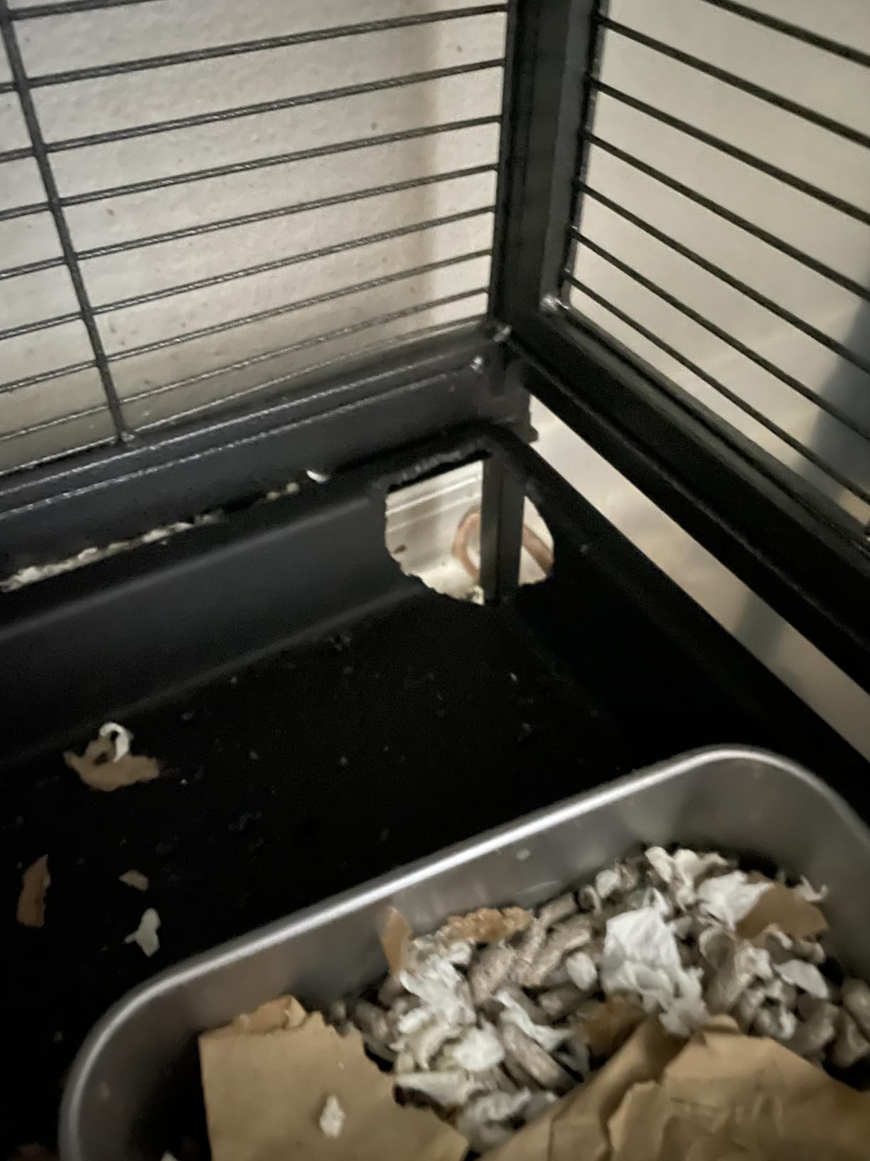 PawHut Metal Small Animal Cage, 5-Tiers Rolling Big Ferret Cage with Hammock, Removable Tray, for Chinchilla, Sugar Glider, White customer photo 1