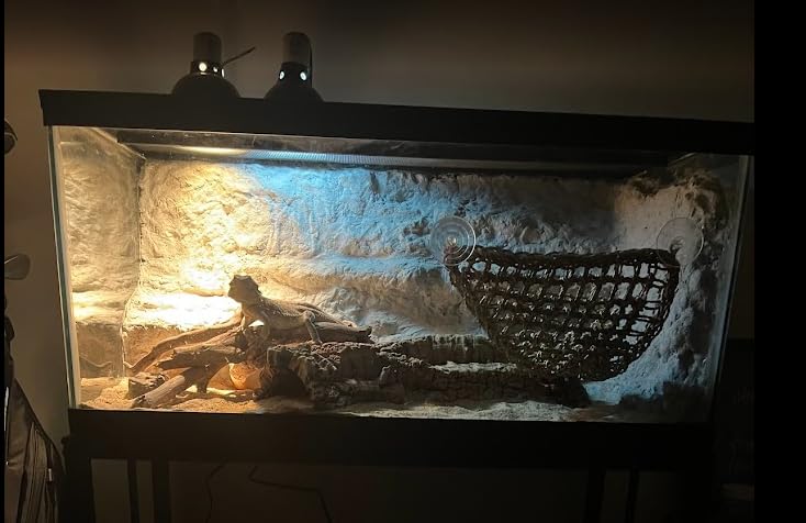 55-75 Gallon Fish Tank Stand, Aquarium & Terrarium Stand for Home Office customer photo 1