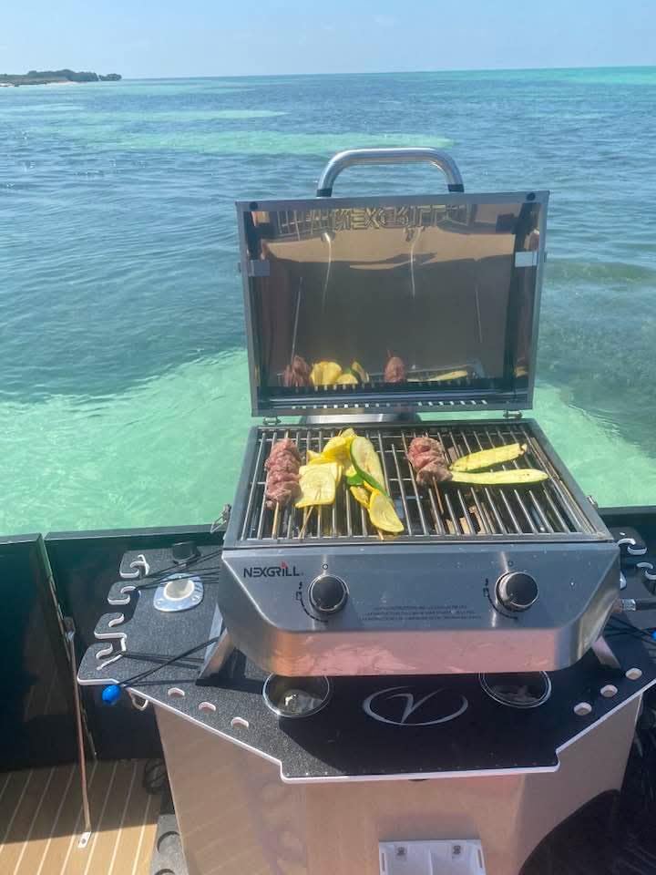 Nexgrill Tabletop 2 Burner Gas Grill, Stainless Steel with Folding Legs customer photo 1