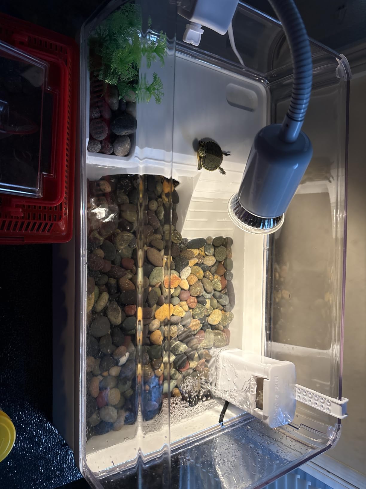 Turtle Tank Starter Kit for Baby Turtles,6.57 Gallon Small Green customer photo 2