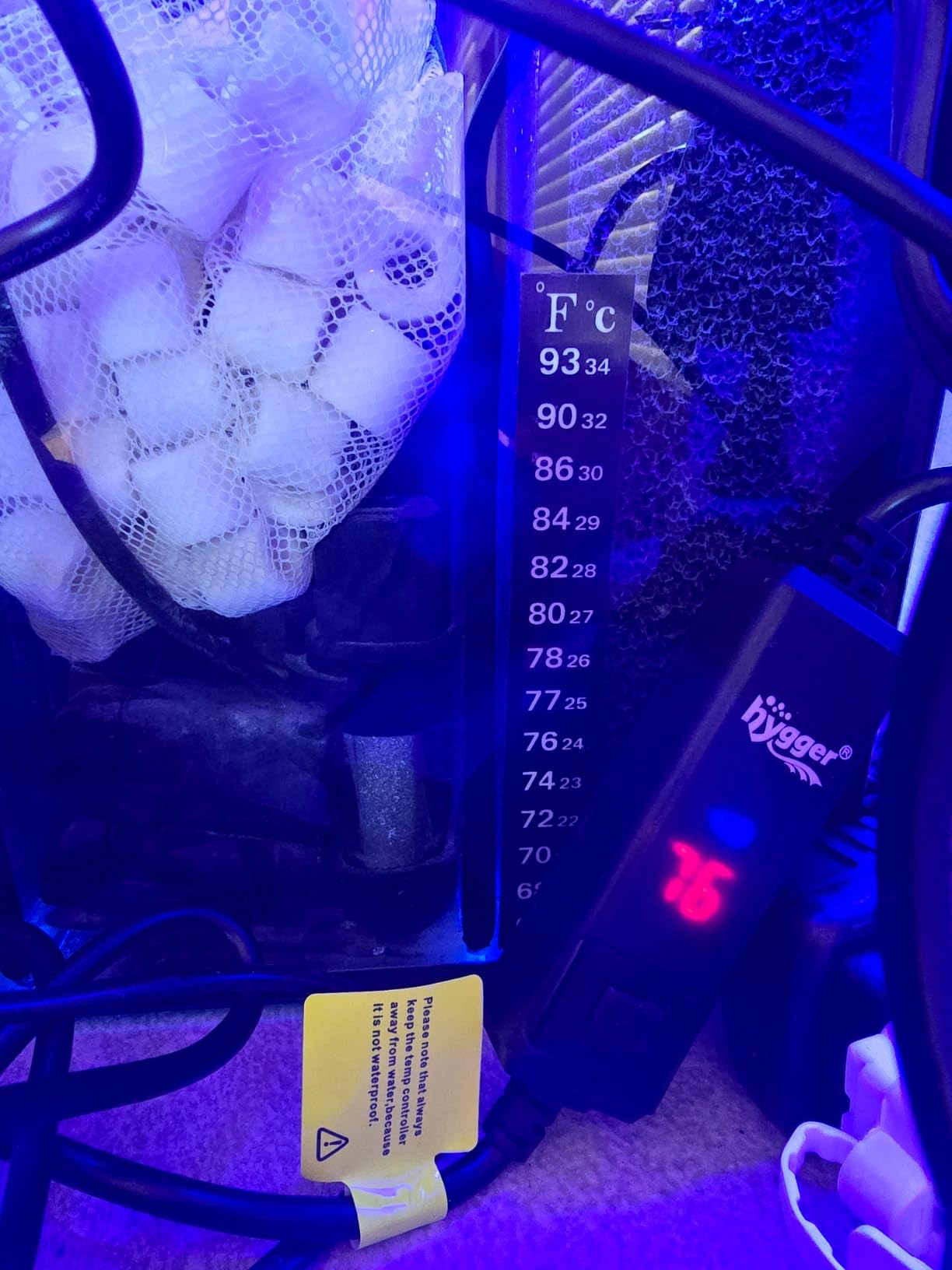 Aquatop 8.6 Gallon Bow Front Glass Aquarium Kit with Filter and LED Lighting - All in One Desktop Fish Tank, Ideal for Freshwater and Saltwater, BFK-08 customer photo 1
