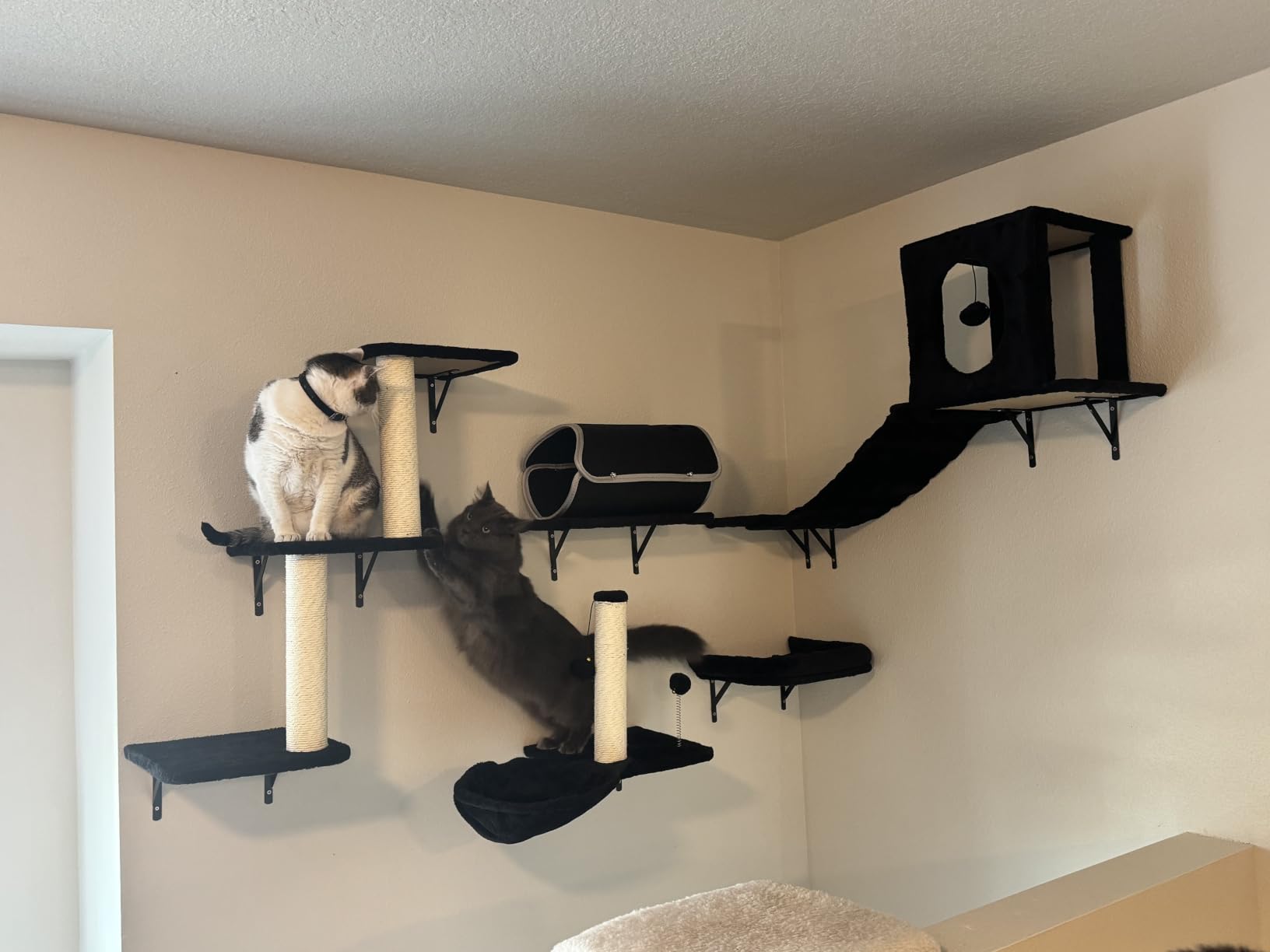 7-in-1 Cat Wall Shelves, Wall Mounted Climber Set customer photo 1