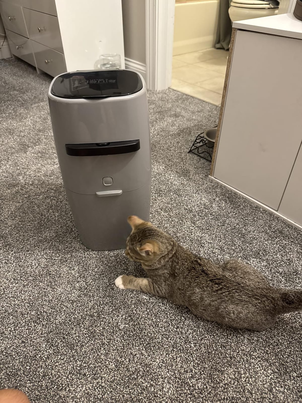 Litter Genie Style Cat Litter Disposal Pail with 14 ft Standard Refill customer photo 2