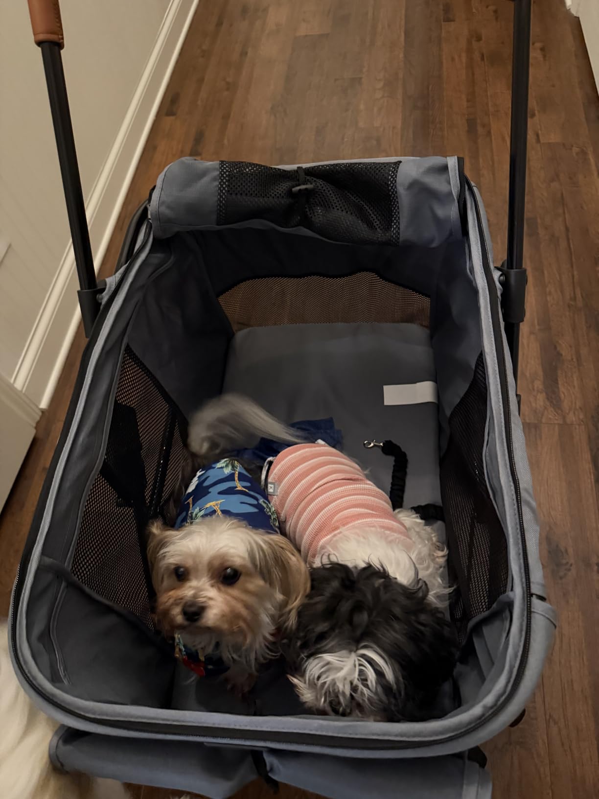 CANINE CANYON Scout Pet Stroller, Heavy Duty Dog Stroller for Large/Medium Dogs, Foldable Pet Stroller for 2 Small Dogs with All-Terrain Wheels, Storage Pocket & Cup Holder, 55 lbs Capacity, Navy Blue customer photo 1