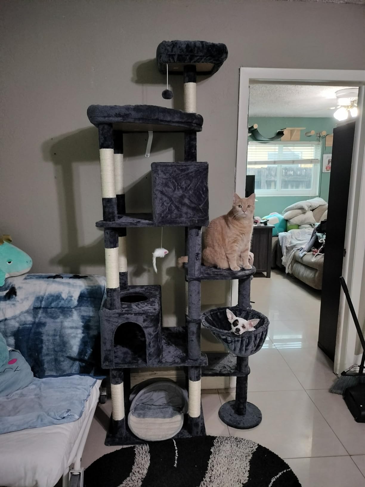 Globlazer Giant Cat Tree for Indoor Large Cats, 83in, F83, Dark Grey customer photo 1