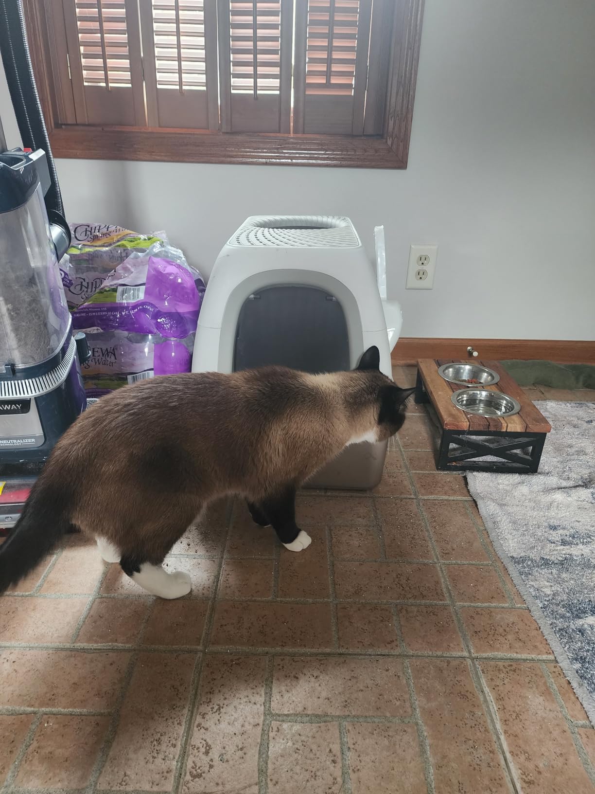 SuzziPaws Stainless Steel Litter Box Top-Entry Dog-Proof for Multi-Cats customer photo 2